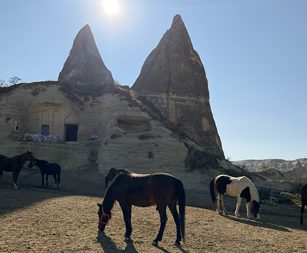 Kapadokya’da At Tur Gezileri